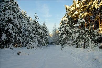 互动式浪漫喜剧游戏《十个约会》2月14日上线 暂不支持简中